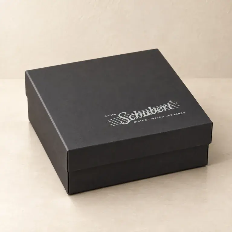 Czarne pudełko P9 z wieczkiem i srebrnym logo Jubiler Schubert